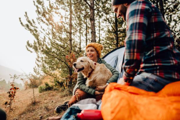 Seasonal pet health: 3 health tips every dog owner should know according to a vet