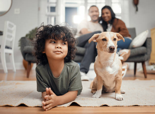 Keep your dog’s teeth and gums healthy with these five essential tips