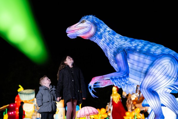 Dublin Zoo reveals theme for this year’s Wild Lights nighttime experience