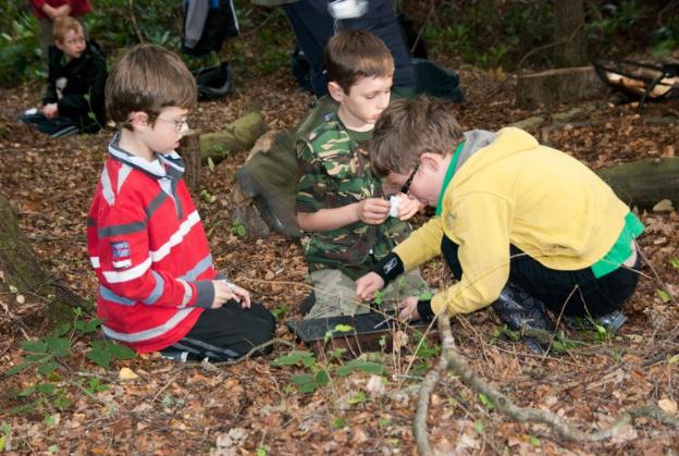 Wildwood Forest Parties