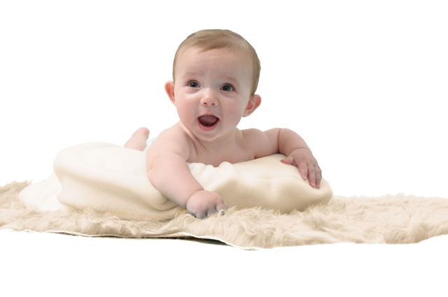 The Poddle Pillow