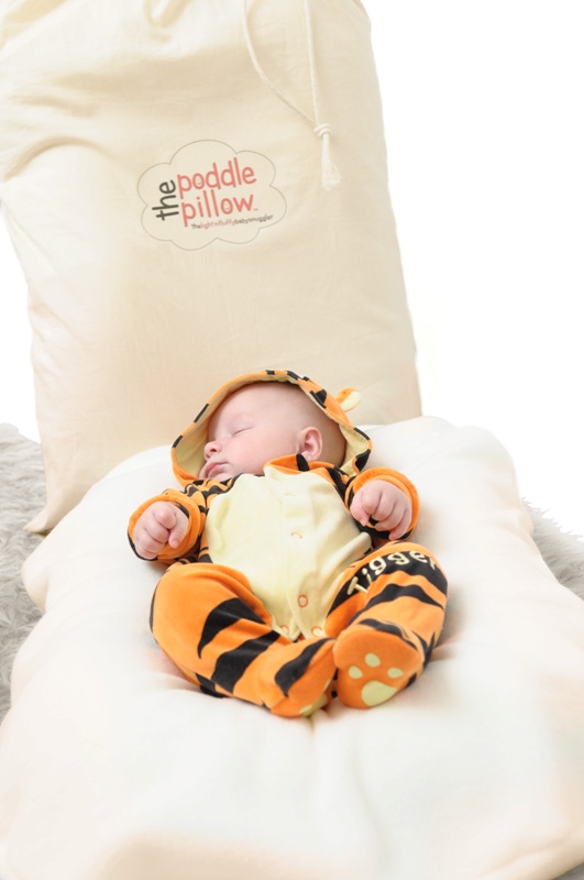 The Poddle Pillow