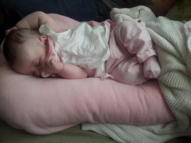 The Poddle Pillow