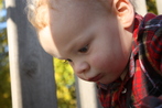 Mylo