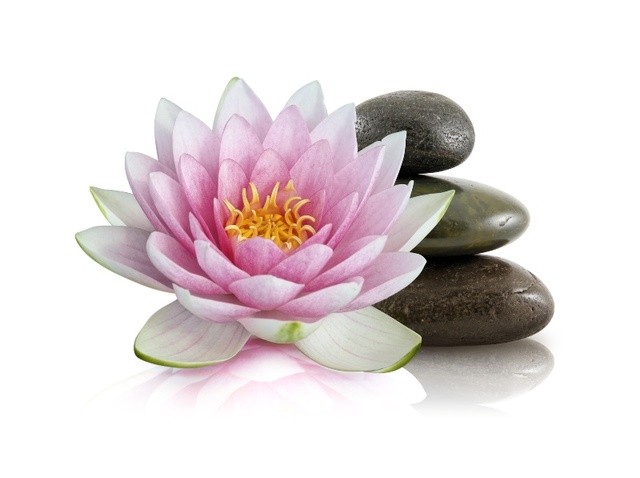 Free Spirit Holistic Therapies