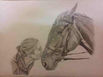 Sam Cook Equine Art