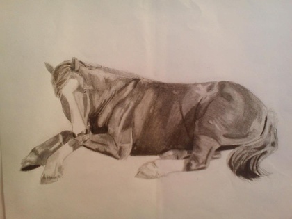 Sam Cook Equine Art