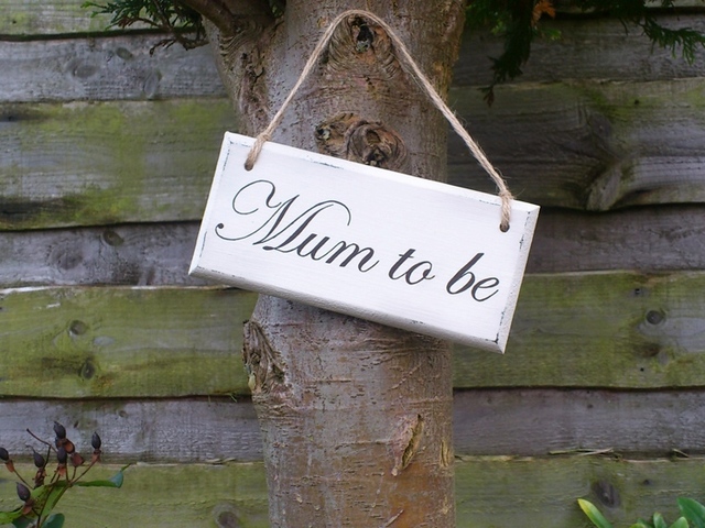Sally Cinnamon Signs