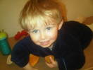 harrison