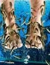 Sole Spa Retreat