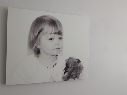 Picture Anything