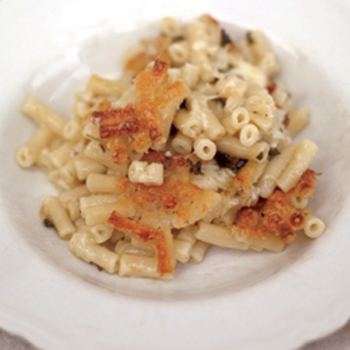 Macaroni cheese
