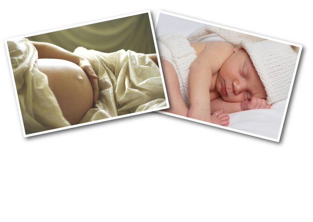 Partners In Pregnancy