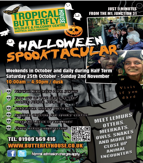 Halloween Spooktacular at Tropical Butterfly House