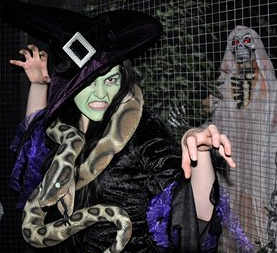 Halloween Spooktacular at Tropical Butterfly House