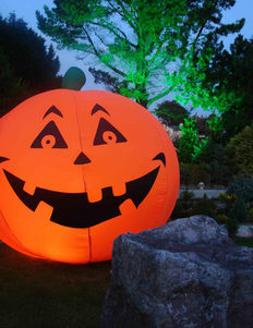 Halloween Evenings of Mini Horrors, Thrills and Chills in Torquay