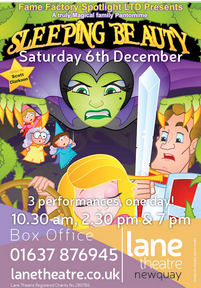 Sleeping Beauty Pantomime Cornwall