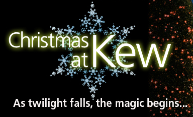Christmas at Kew at the Royal Botanical Gardens