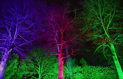 Christmas at Kew at the Royal Botanical Gardens