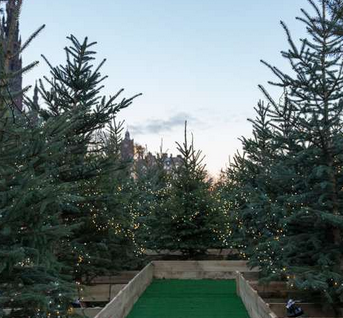 Santa Land Edinburgh 