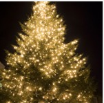 Denbies Christmas Events 2014