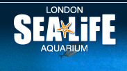 Sea Life London Aquarium