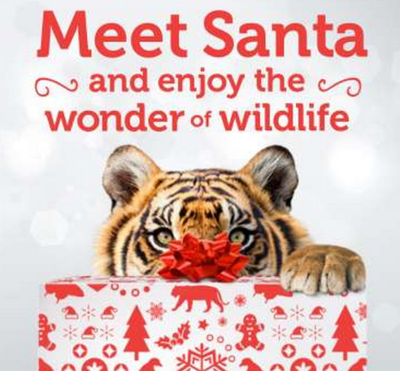 Meet Santa at ZSL London Zoo