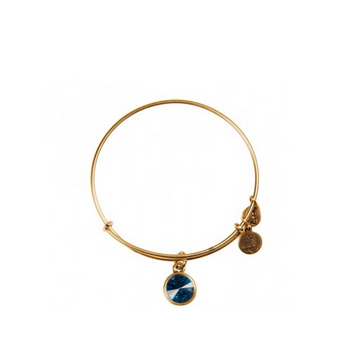 Alex and Ani Bracelet