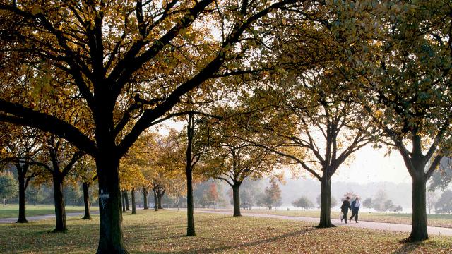 Hyde Park