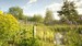 WWT London Wetland Centre