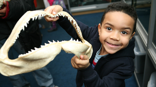 Horniman Museum