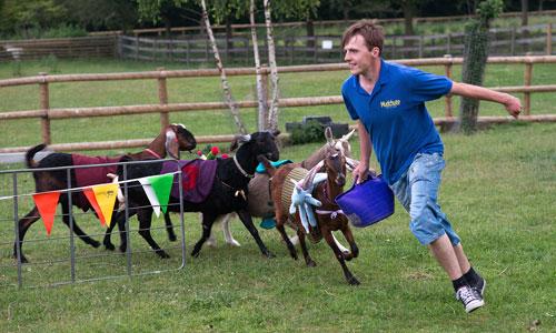 Mudchute Park & Farm 