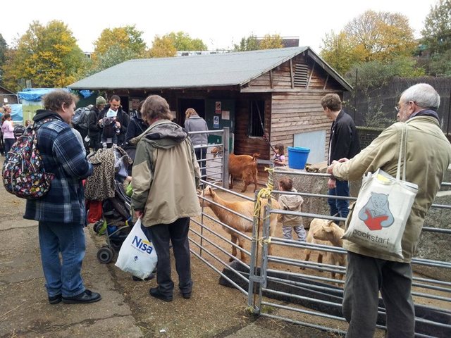 Kentish Town City Farm