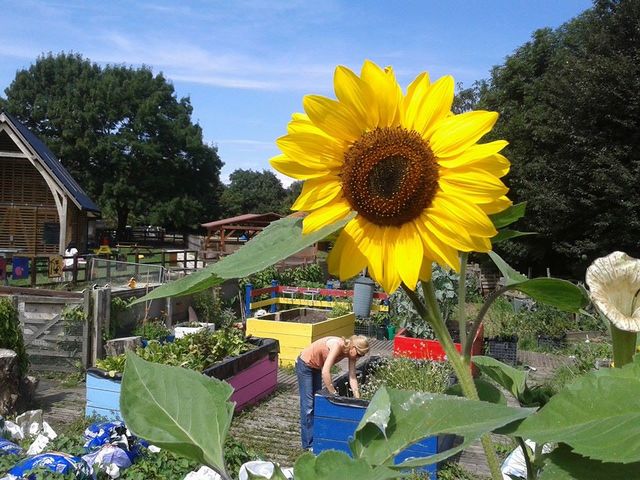 Newham City Farm