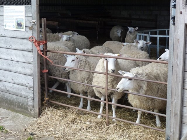 Woodlands Farm