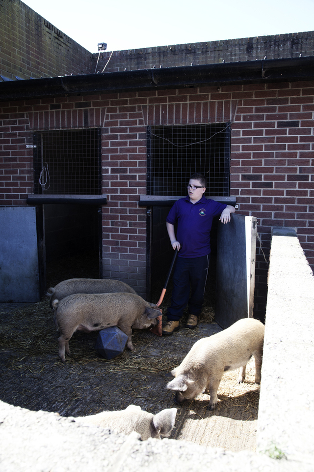 Deen City Farm 