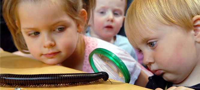Science Centre for Life