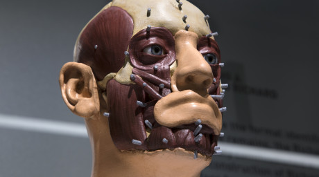 King Richard III Discovery Centre