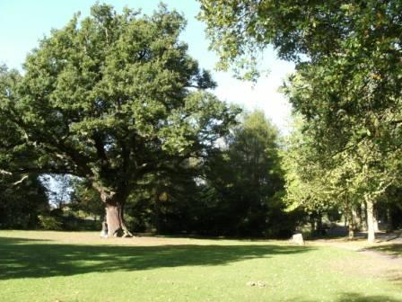 Abbey Park
