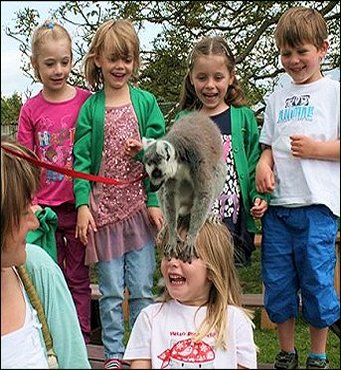 Woodside Wildlife and Falconry Park
