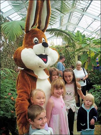 Woodside Wildlife and Falconry Park