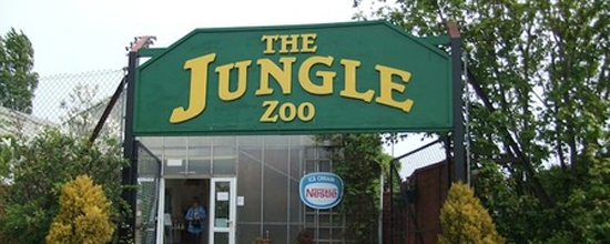 The Jungle Zoo