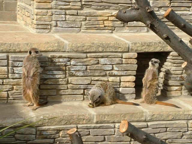 Natureland Seal Sanctuary