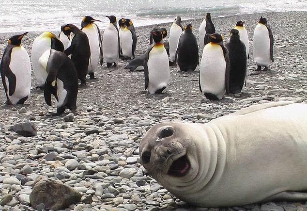 Natureland Seal Sanctuary