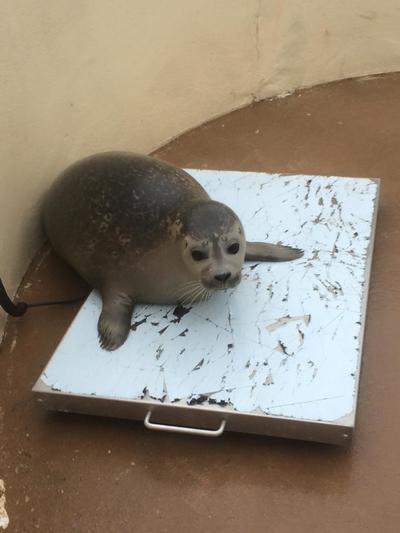 Natureland Seal Sanctuary