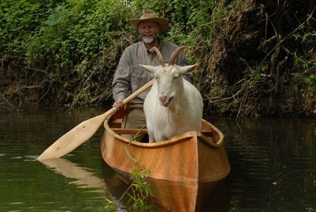 Birchcanoes
