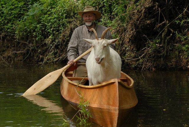 Birchcanoes