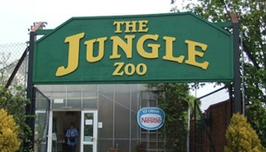 The Jungle Zoo