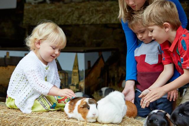 Chatsworth Farmyard and Playground