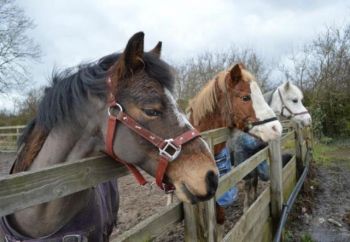 Somerby Equestrian Centre